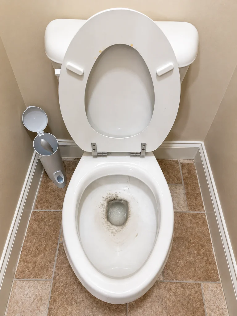 Before cleaning: bathroom buildup